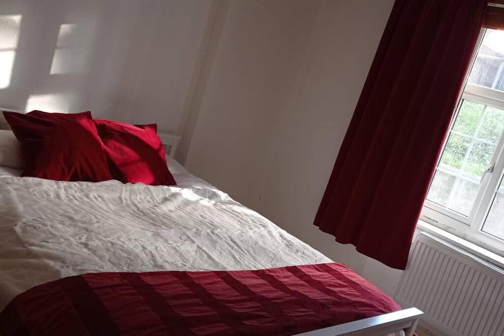 Sunny And Spacious Flat In Nw3 London Bagian luar foto